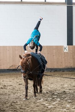 Bild 654 - Voltigierturnier